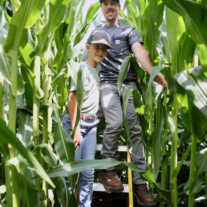 Corn Oswald 1356