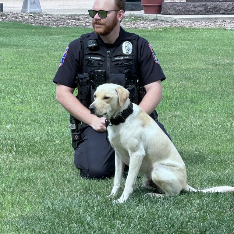 k-9 nick and nash