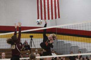 Volleyball vs Springfield September 12
